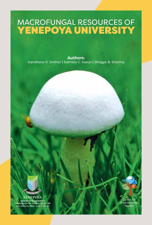 Moshrooms at Yenepoya University